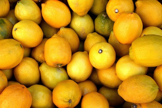 fresh citrus fruits