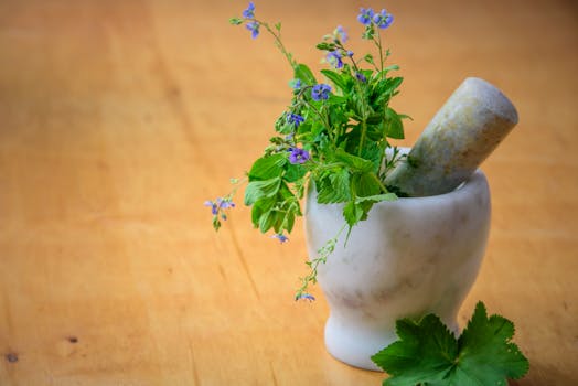 herbs and spices for mental health