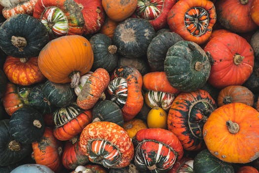 colorful array of healthy groceries