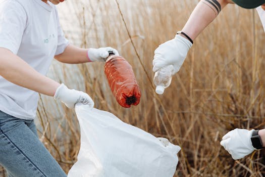 Community composting initiatives