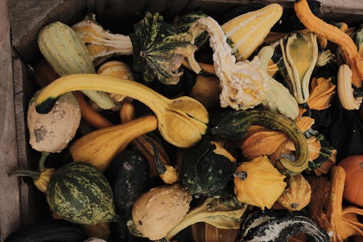 colorful array of unusual vegetables